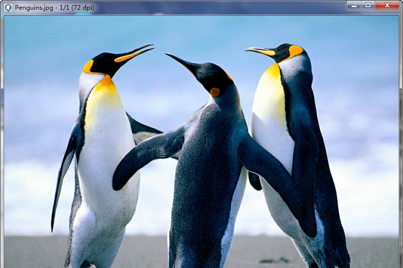 MuPDF(PDF阅读器) v1.13 MuPDF(PDF阅读器) v1.13