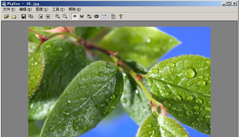 FlySee(飞翔看图软件) v3.2.9