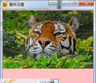 bing壁纸每日壁纸切换 v1.5 bing壁纸每日壁纸切换 v1.5