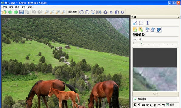 Photo Montage Guide v2.2.14 Photo Montage Guide v2.2.14