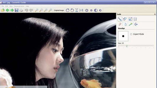 Cosmetic Guide v2.2.11 Cosmetic Guide v2.2.11
