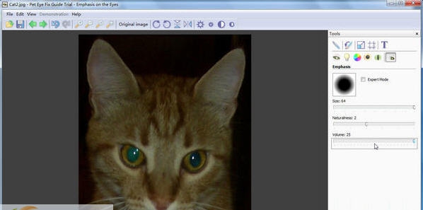 Pet Eye Fix Guide v2.2.13 Pet Eye Fix Guide v2.2.13