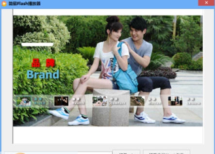 简易Flash播放器 v1.6 简易Flash播放器 v1.6