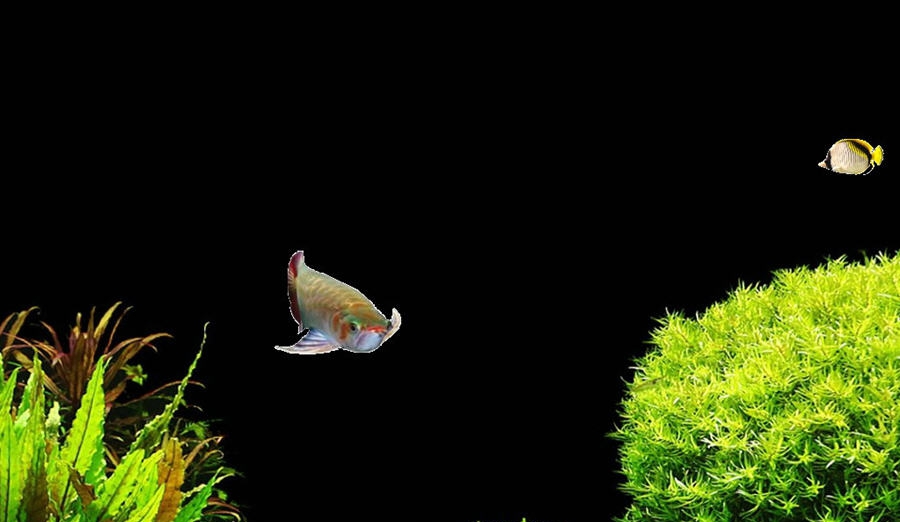 闪桌桌面换鱼程序 v1.4 闪桌桌面换鱼程序 v1.4