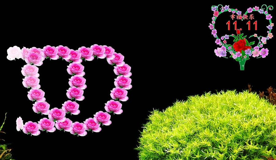 闪桌光棍节祝福桌面程序 v1.4