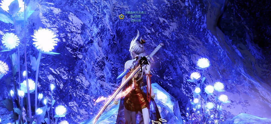 剑灵风魂无极补丁 v1.4