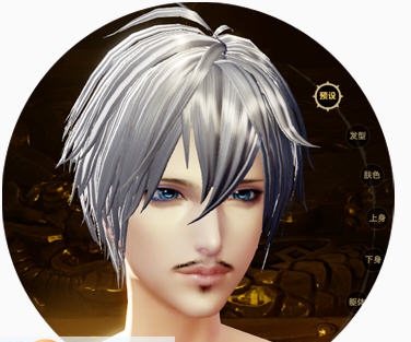 天谕成男脸白发小胡须 v1.5 天谕成男脸白发小胡须 v1.5