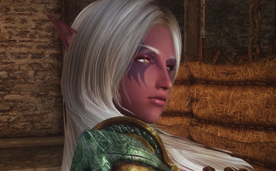 上古卷轴5暗夜精灵卡多雷随从MOD v5.5 上古卷轴5暗夜精灵卡多雷随从MOD v5.5