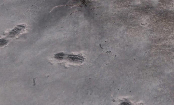 上古卷轴5足迹MOD v3.6 上古卷轴5足迹MOD v3.6