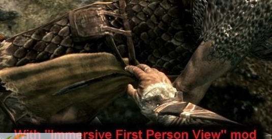 上古卷轴5丰富人物动作mod v1.7 上古卷轴5丰富人物动作mod v1.7
