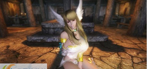 上古卷轴5绝美美女动作mod v3.9 上古卷轴5绝美美女动作mod v3.9