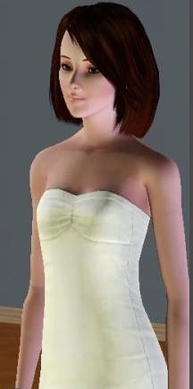 模拟人生3美丽佳人mod v2.5 模拟人生3美丽佳人mod v2.5