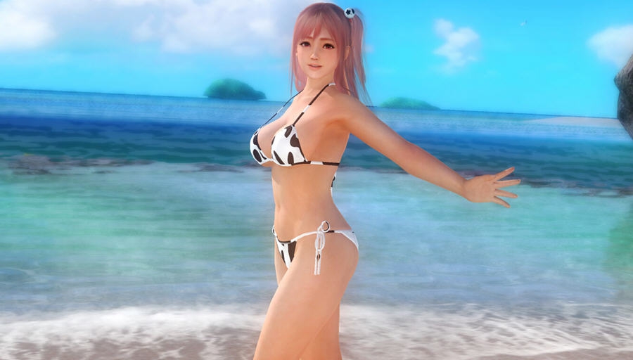 死或生5可爱清新mod v1.4 死或生5可爱清新mod v1.4