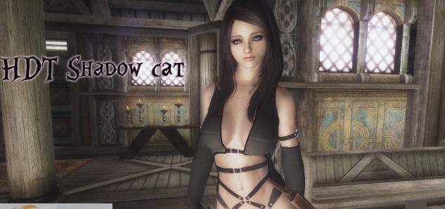 上古卷轴5暗影猫护甲MOD v1.5 上古卷轴5暗影猫护甲MOD v1.5