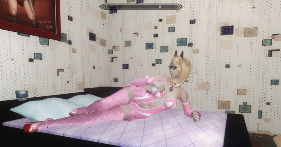 上古卷轴5摔跤玫瑰SM御姐服装mod v1.4 上古卷轴5摔跤玫瑰SM御姐服装mod v1.4