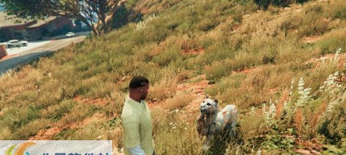 GTA5美洲狮MOD v2.7 GTA5美洲狮MOD v2.7