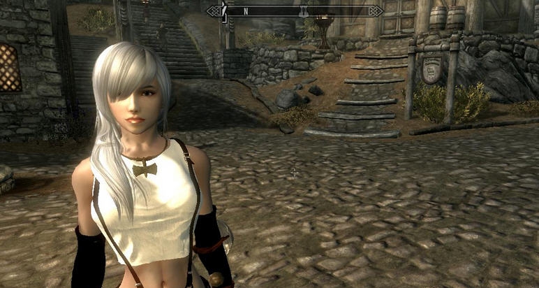 上古卷轴5泡泡流行两件套MOD v2.6 上古卷轴5泡泡流行两件套MOD v2.6