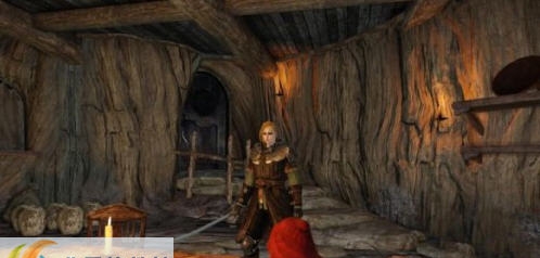 黑暗之魂2欧美风妹子初始存档 v2.5