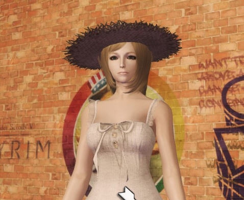 上古卷轴5草帽女孩mod v1.4 上古卷轴5草帽女孩mod v1.4