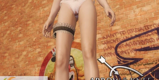 上古卷轴5细腿装饰品mod v1.5 上古卷轴5细腿装饰品mod v1.5
