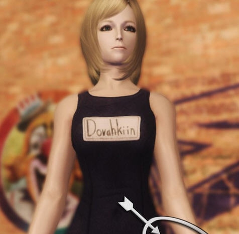 上古卷轴5女孩泳装mod v1.4 上古卷轴5女孩泳装mod v1.4