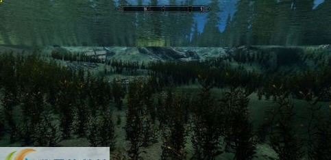 上古卷轴5低配水草移除MOD v2.5 上古卷轴5低配水草移除MOD v2.5