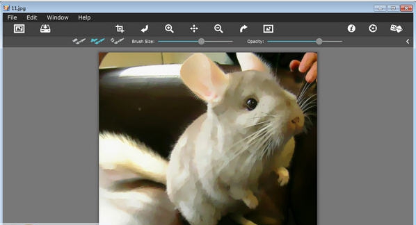 Artoon照片漫画化软件 v1.9 Artoon照片漫画化软件 v1.9