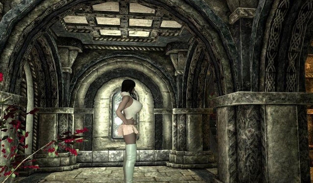 上古卷轴5天际玲玲短裙毛衣MOD v2.6 上古卷轴5天际玲玲短裙毛衣MOD v2.6