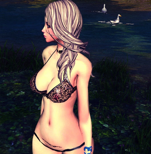 剑灵极模组天女黑精灵mod v2.6