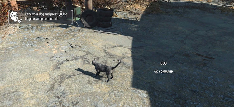 辐射4狗肉替换为猫咪MOD v2.3 辐射4狗肉替换为猫咪MOD v2.3