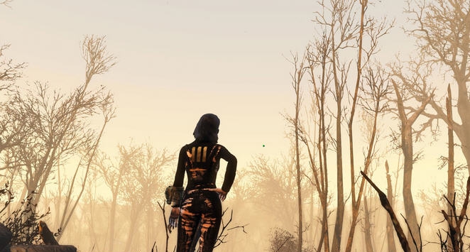 辐射4性感避难所服装MOD v2.6 辐射4性感避难所服装MOD v2.6