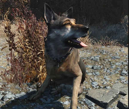 辐射4狼狗肉贴图MOD v2.6 辐射4狼狗肉贴图MOD v2.6