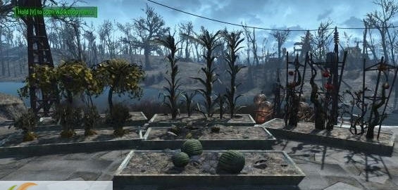 辐射4植物花盆MOD v2.7 辐射4植物花盆MOD v2.7