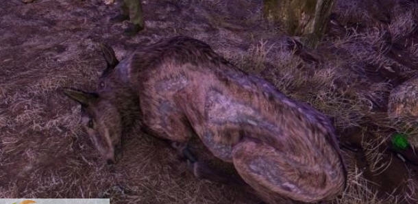 辐射4温顺变种鹿MOD v2.4 辐射4温顺变种鹿MOD v2.4