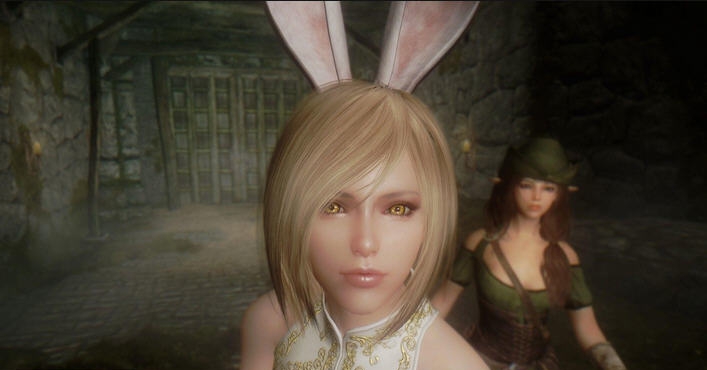 上古卷轴5天际兔女郎随从斯凯雯MOD v2.4 上古卷轴5天际兔女郎随从斯凯雯MOD v2.4