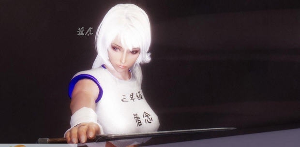 上古卷轴5天际独立随从诗珞雅MOD v2.5 上古卷轴5天际独立随从诗珞雅MOD v2.5