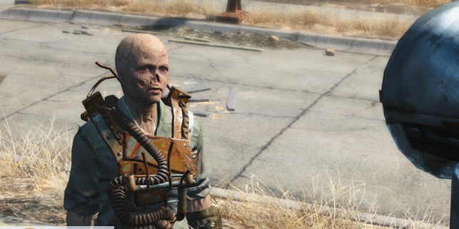 辐射4熊孩子身形MOD v2.6 辐射4熊孩子身形MOD v2.6