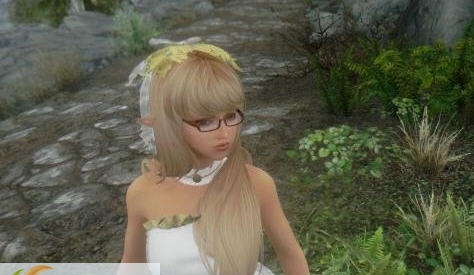 上古卷轴5独立弓箭手随从CeciliaMOD v2.7 上古卷轴5独立弓箭手随从CeciliaMOD v2.7