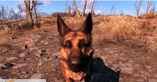 辐射4红毛狗肉mod v2.6 辐射4红毛狗肉mod v2.6