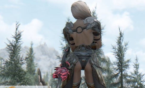 上古卷轴5独立随从mod v2.7 上古卷轴5独立随从mod v2.7