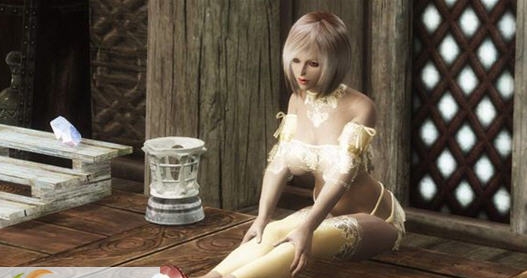 上古卷轴5天际蕾丝内衣MOD v2.6 上古卷轴5天际蕾丝内衣MOD v2.6