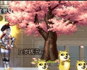 DNF2016春节宠物改doge补丁 v2.5 DNF2016春节宠物改doge补丁 v2.5
