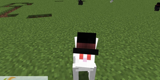 我的世界1.8.9mod兔子礼帽 v2.5