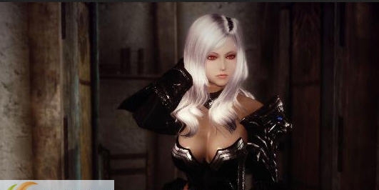 上古卷轴5白色女武神史维特莱德护甲MOD v2.5 上古卷轴5白色女武神史维特莱德护甲MOD v2.5