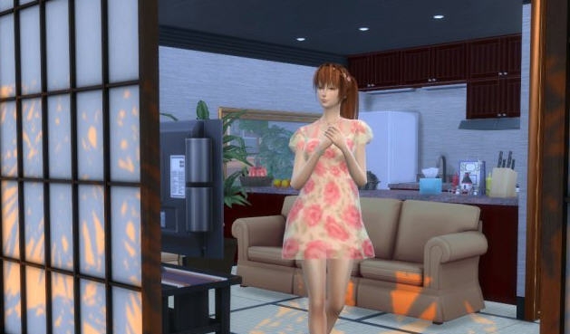 模拟人生4DoA女主霞MOD v2.4 模拟人生4DoA女主霞MOD v2.4