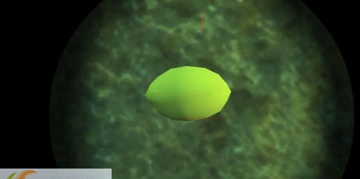 辐射4可燃柠檬MOD v2.3 辐射4可燃柠檬MOD v2.3