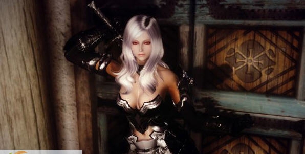 上古卷轴5天际女武神服裝破甲款式MOD v2.8 上古卷轴5天际女武神服裝破甲款式MOD v2.8