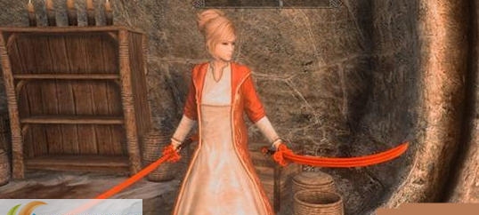 上古卷轴5落英无尽之双剑MOD v2.3