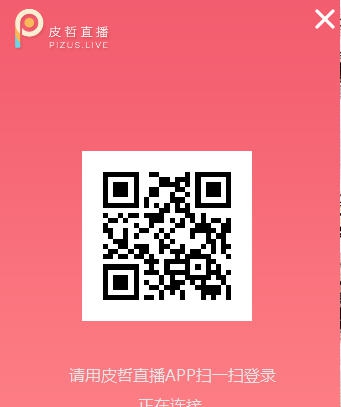 皮哲直播助手 v0.13.9