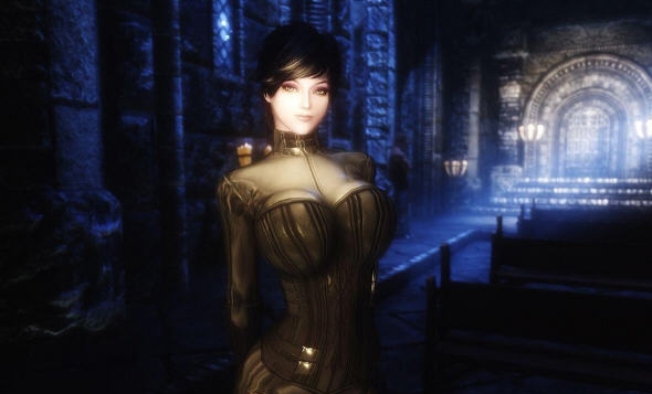 上古卷轴5天际华丽紧身衣MOD v2.4 上古卷轴5天际华丽紧身衣MOD v2.4